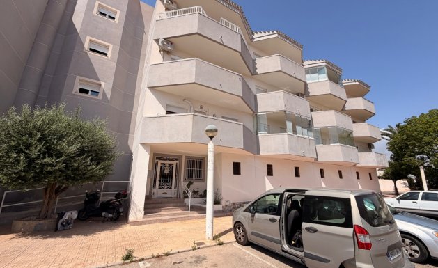 Apartment - Herverkoop - Cabo Roig - Cabo Roig