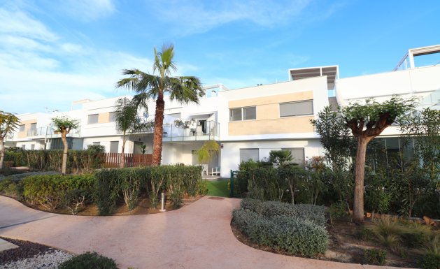 Apartment - Resale - Los Montesinos - Entre Naranjos / Vistabella Golf