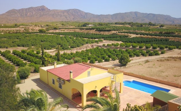 Country property - Reventa - Albatera - Albatera - Country