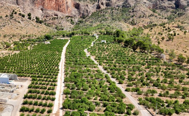 Finca Country Property - Herverkoop - Orihuela - Orihuela