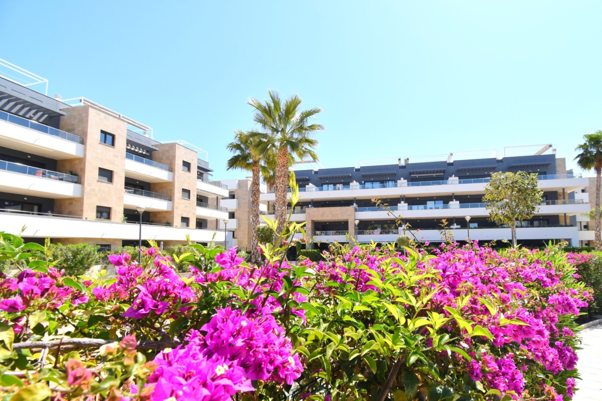 Herverkoop - Apartment - Orihuela Costa - Playa Flamenca