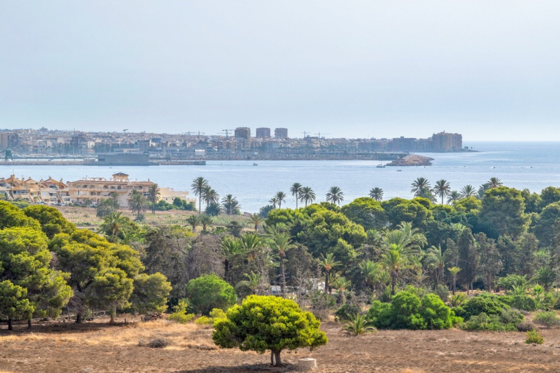 Herverkoop - Apartment - Orihuela Costa - Punta Prima