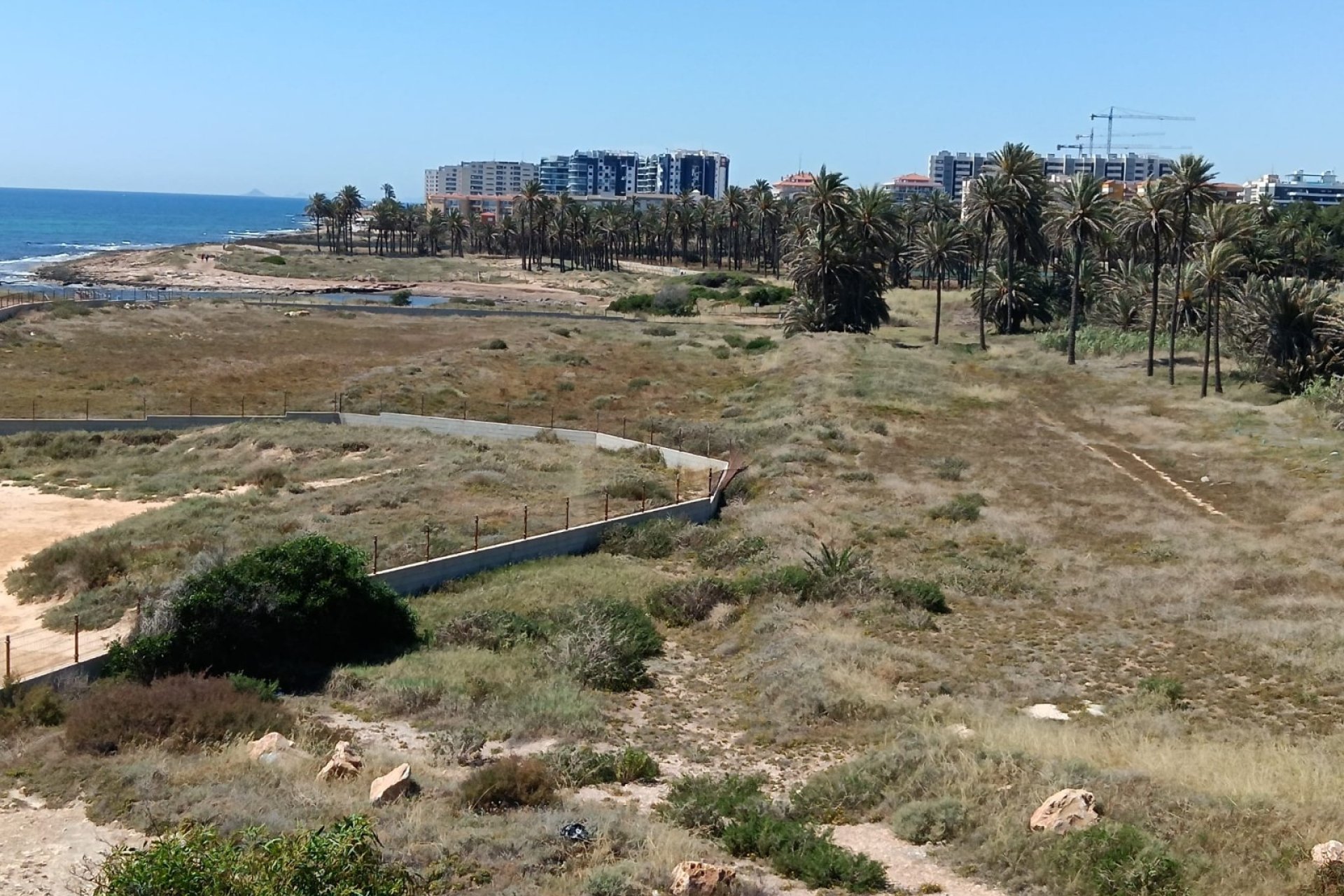 Herverkoop - Apartment - Torrevieja - Mar Azul