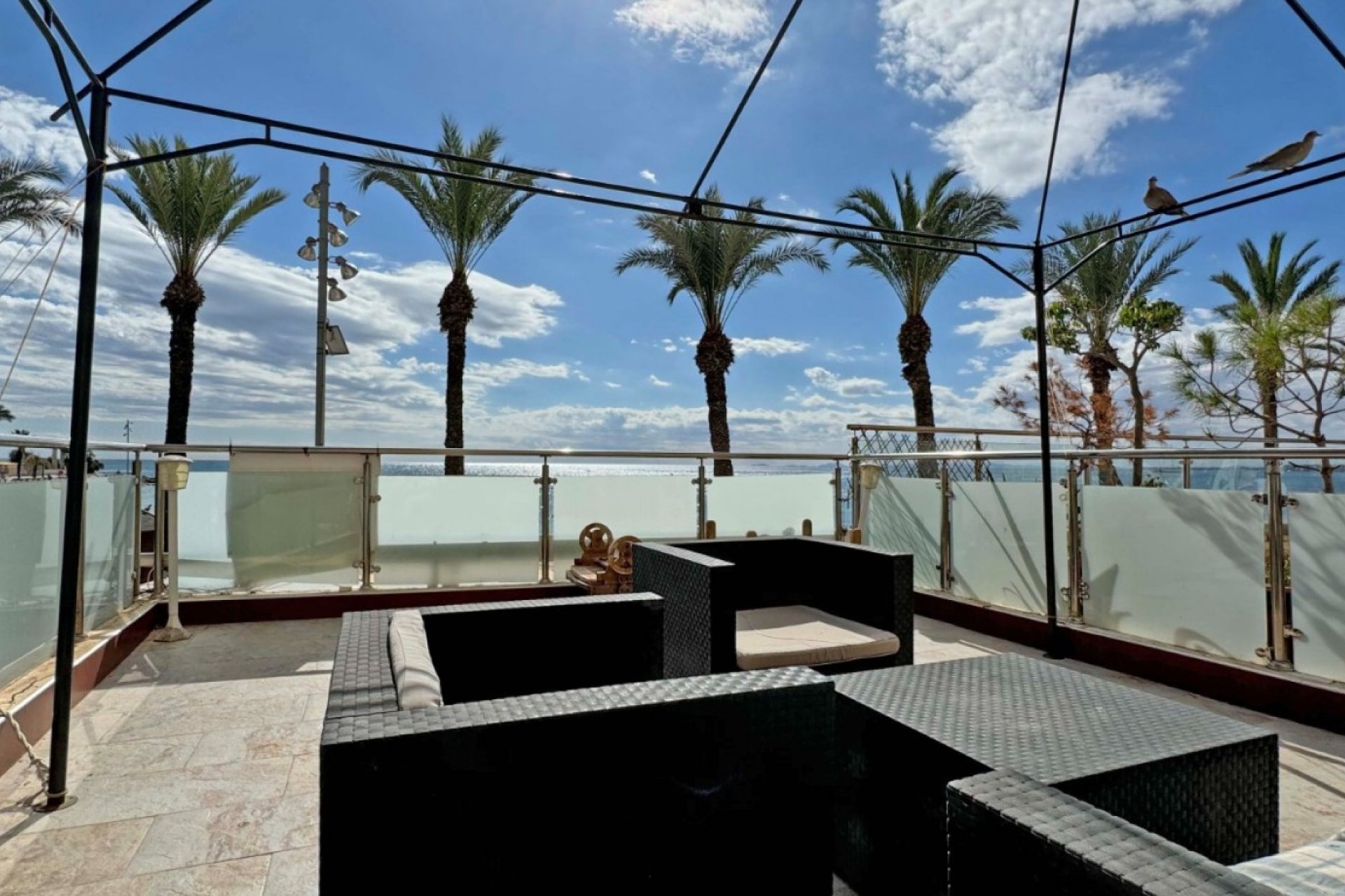 Herverkoop - Apartment - Torrevieja - Playa del Cura
