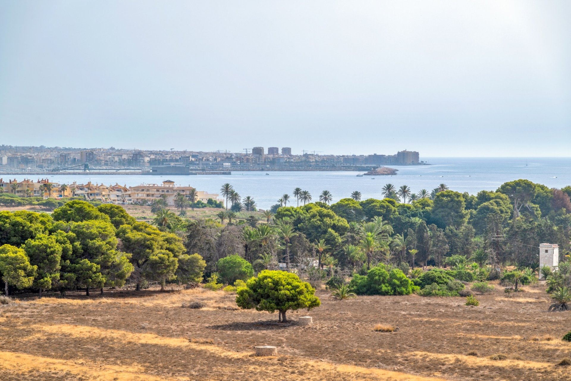 Herverkoop - Apartment - Torrevieja - Punta Prima