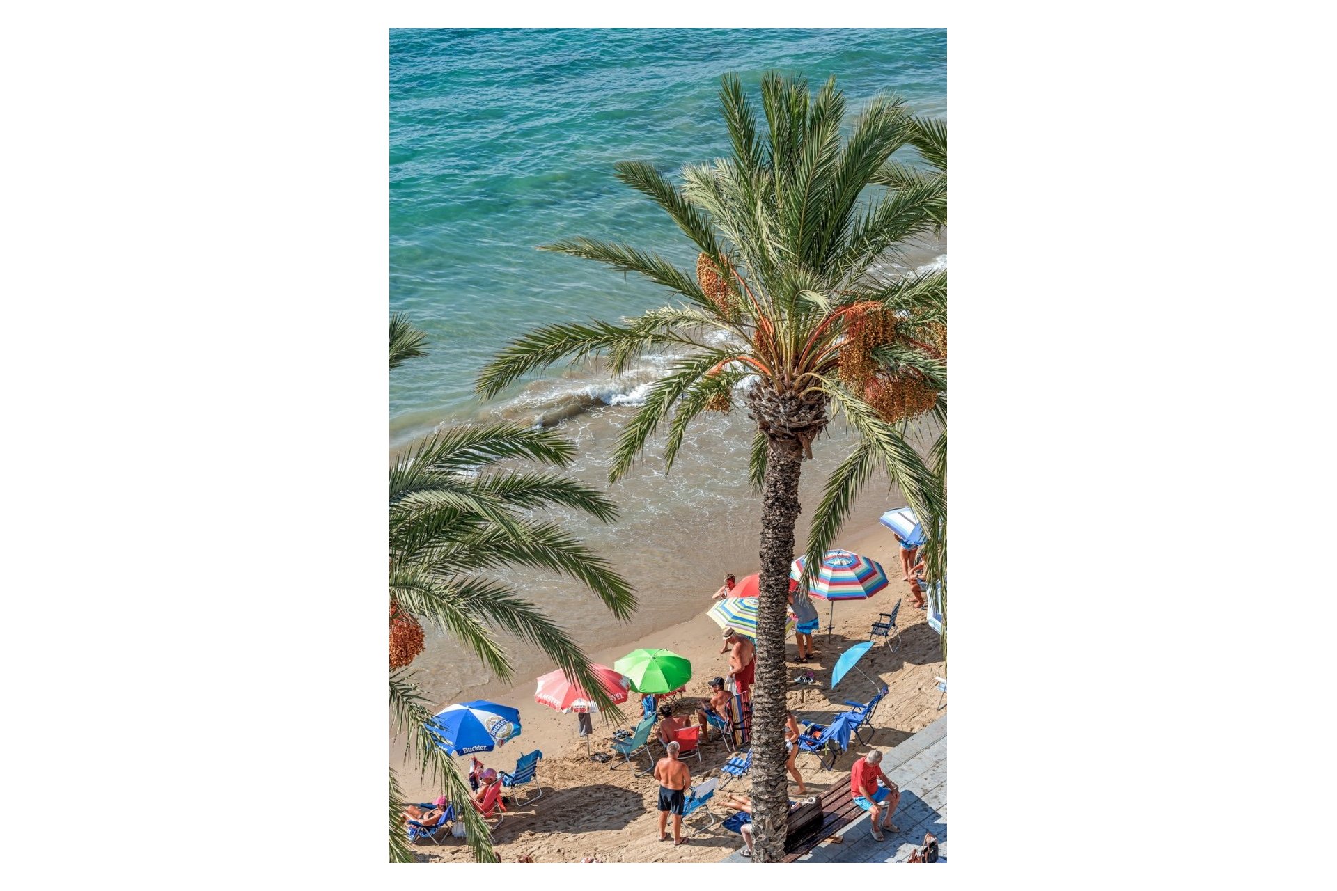 Herverkoop - Apartment - Torrevieja