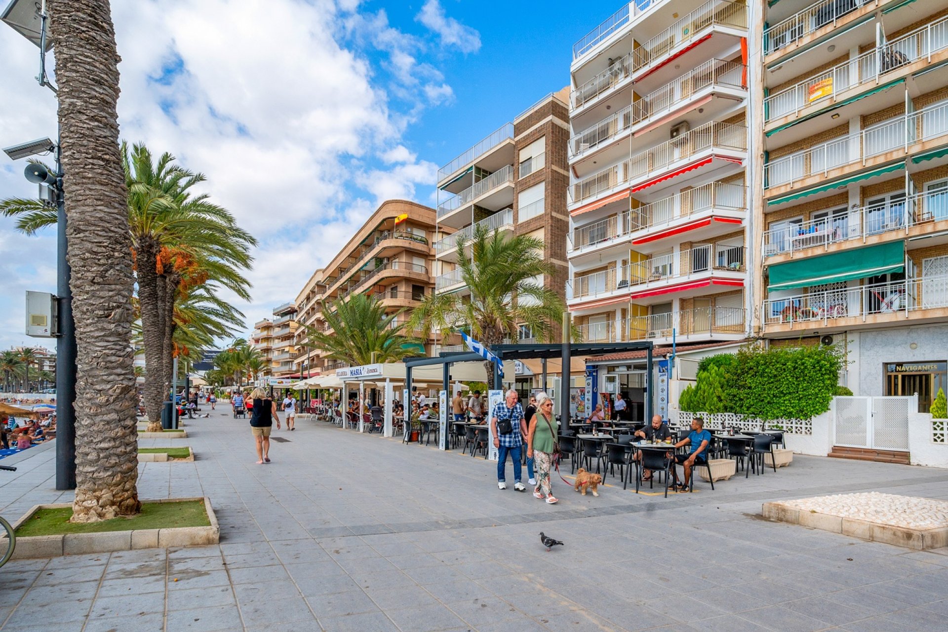 Herverkoop - Apartment - Torrevieja