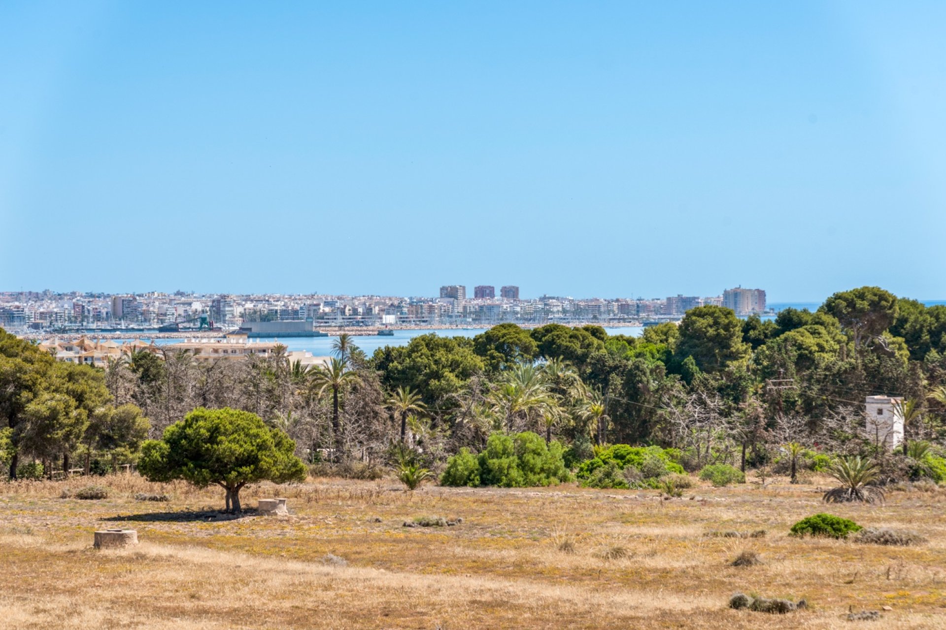 Herverkoop - Apartment - Torrevieja