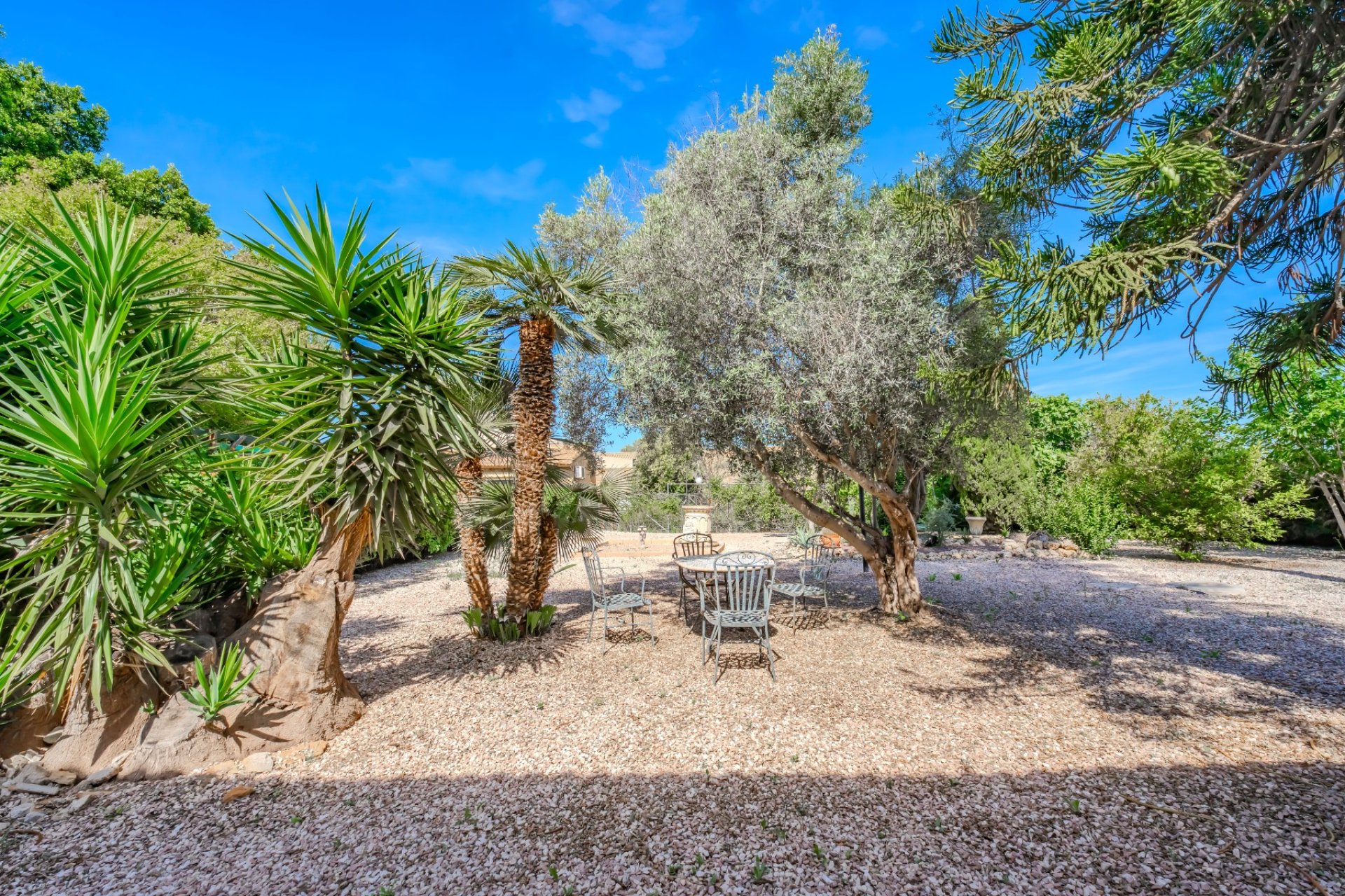 Herverkoop - Country property - Ciudad Quesada - Rojales