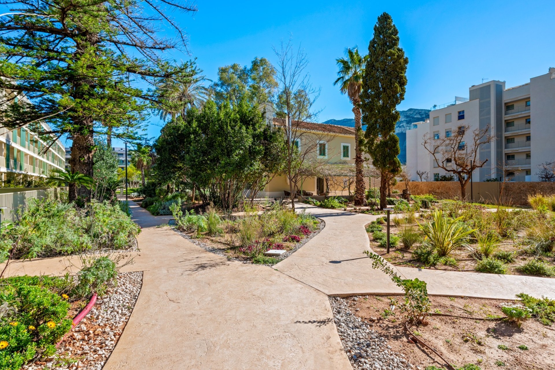 Herverkoop - Penthouse Penthouse - Valencia - Puerto