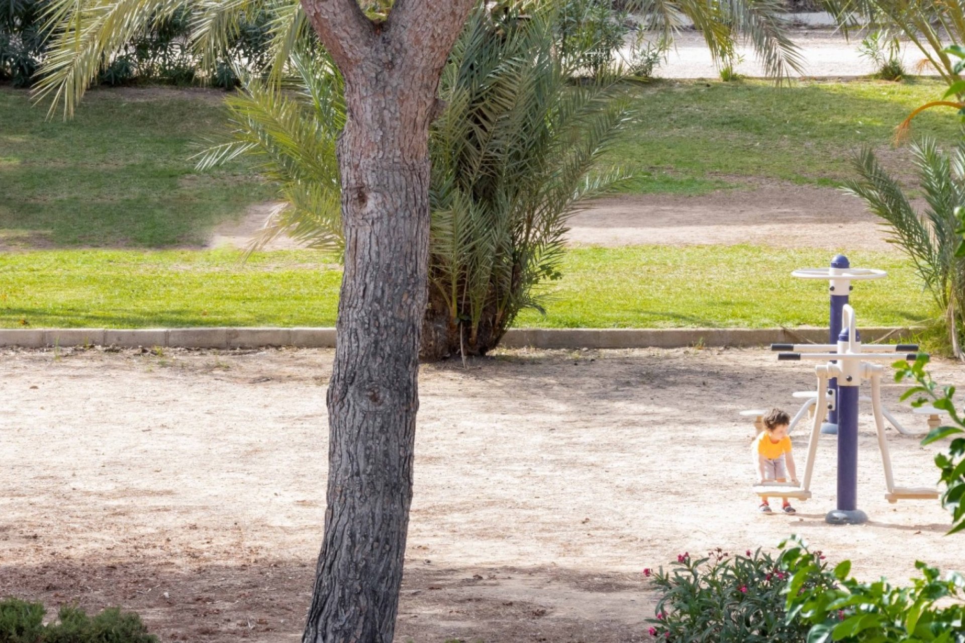 Herverkoop - Semi Detached - Orihuela Costa - La Zenia