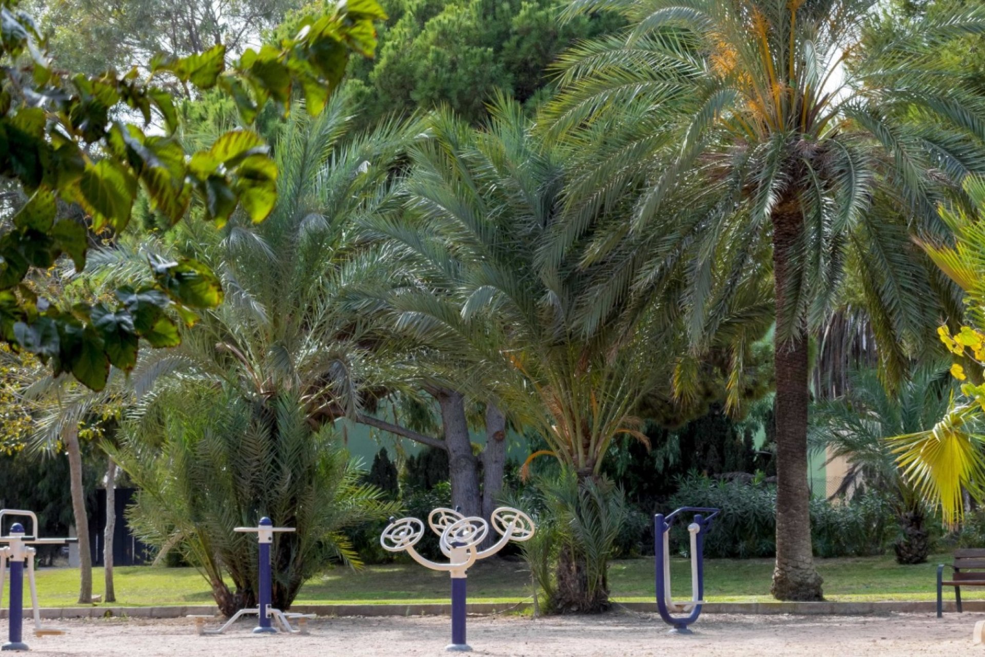 Herverkoop - Semi Detached - Orihuela Costa - La Zenia