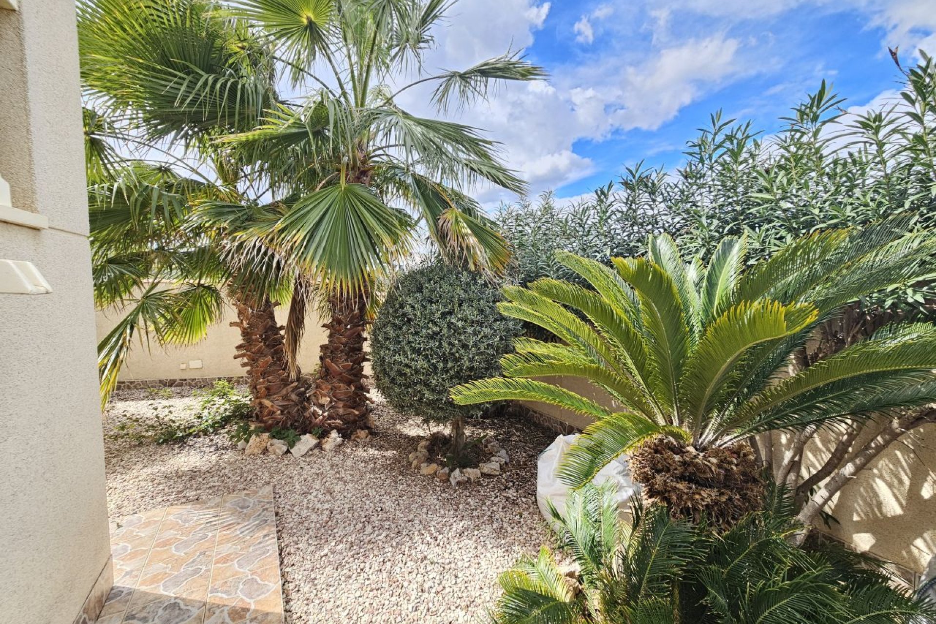 Herverkoop - Villa - Benijofar - Benimar 3