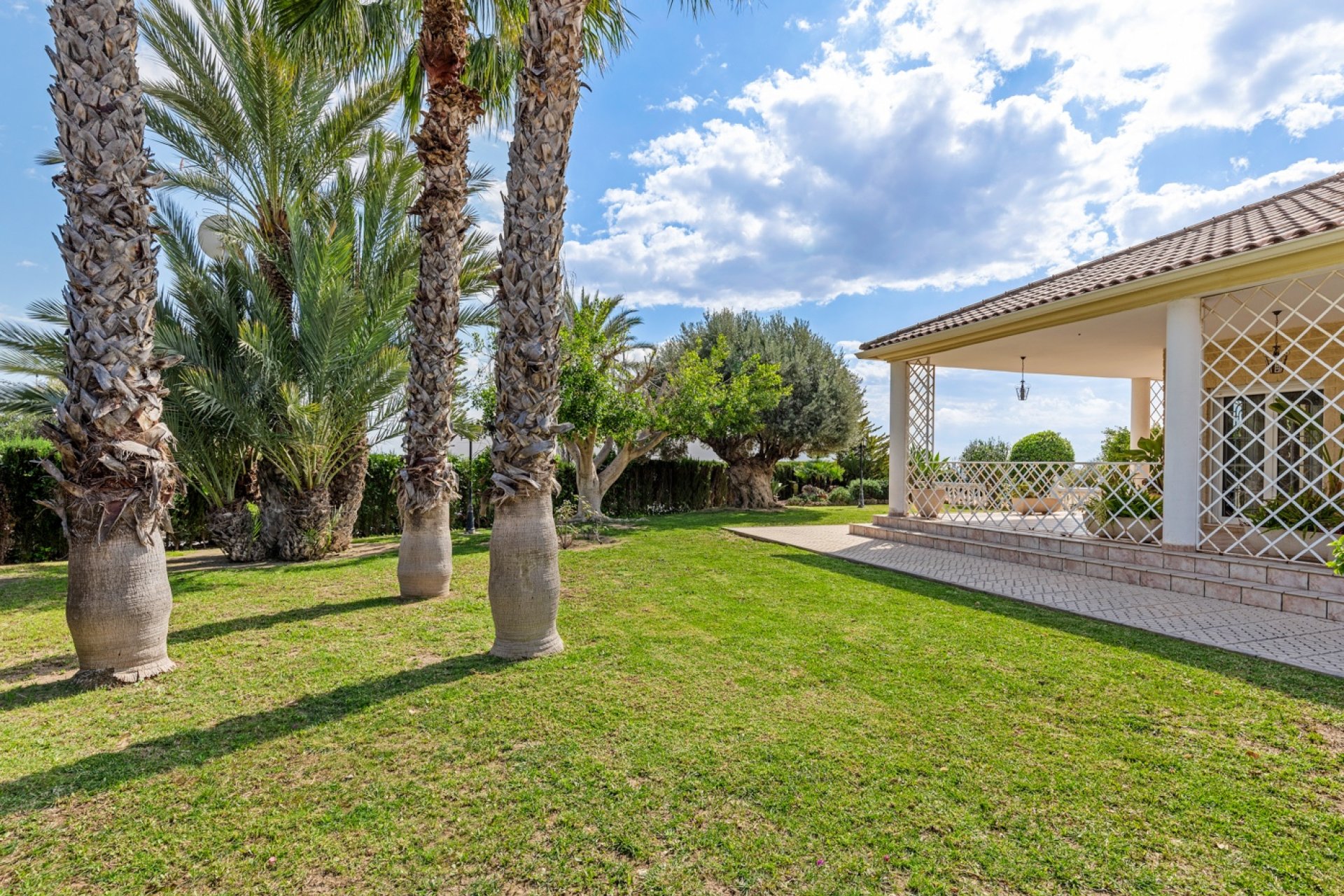 Herverkoop - Villa - Elche/Elx