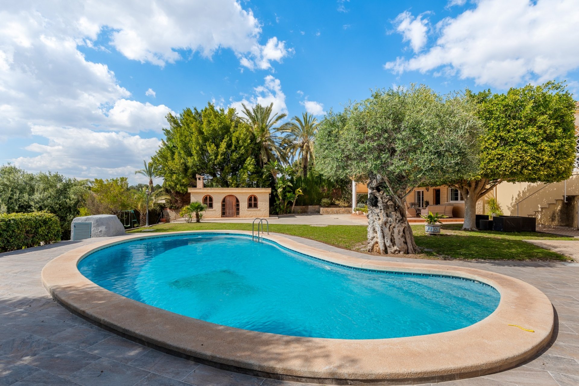 Herverkoop - Villa - Elche/Elx