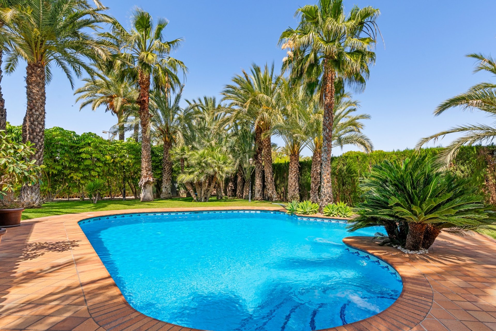 Herverkoop - Villa - Elche/Elx