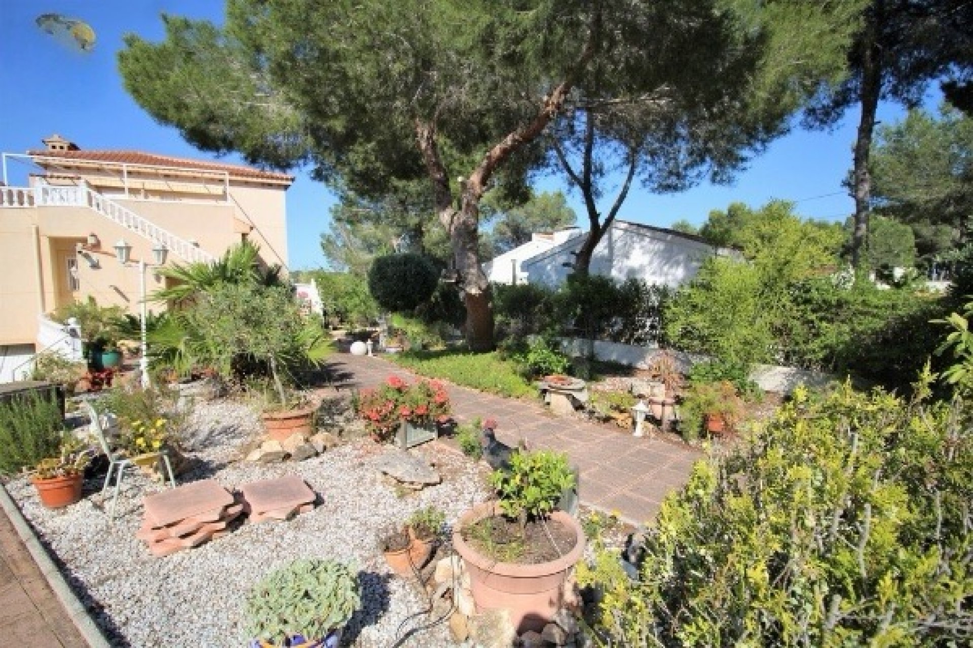 Herverkoop - Villa - Orihuela Costa - Campoverde