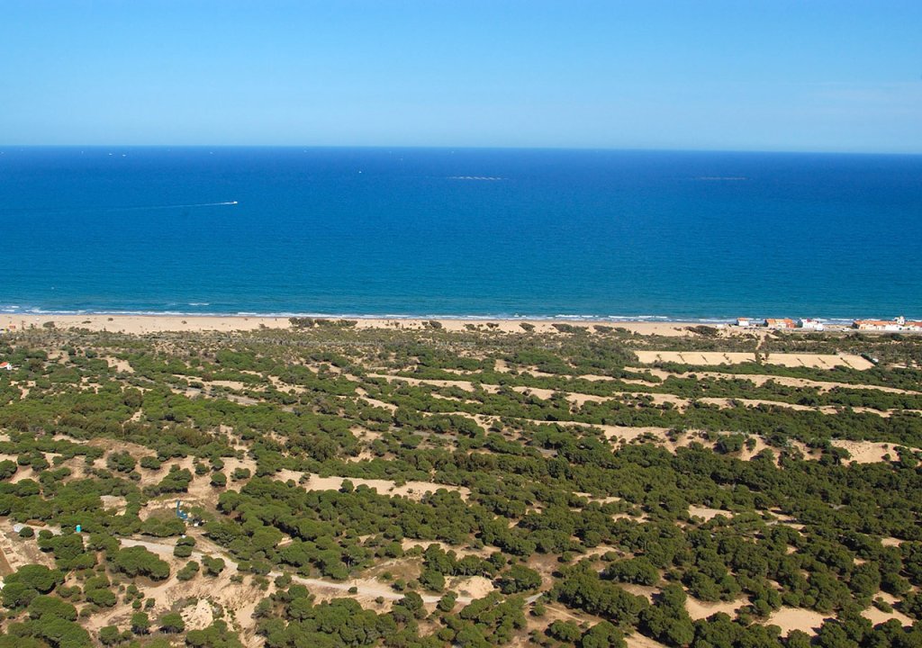 New Build - Detached House / Villa - Ciudad Quesada - Ciudad Quesada - Rojales