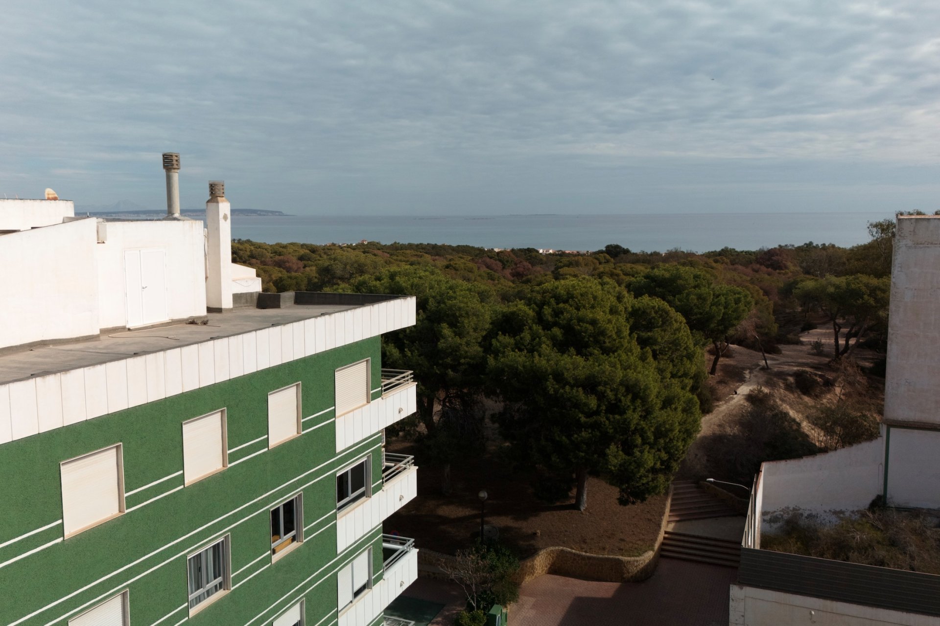 New Build - ground-floor - Guardamar del Segura