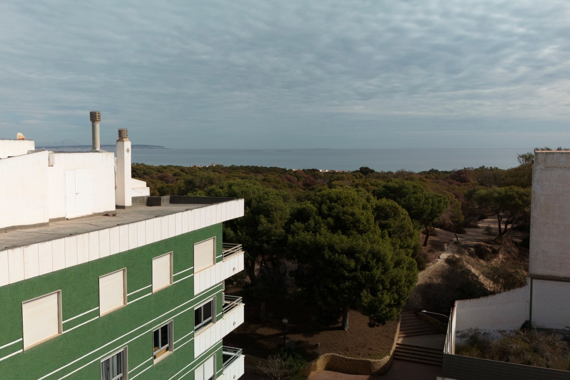 New Build - ground-floor - Guardamar del Segura