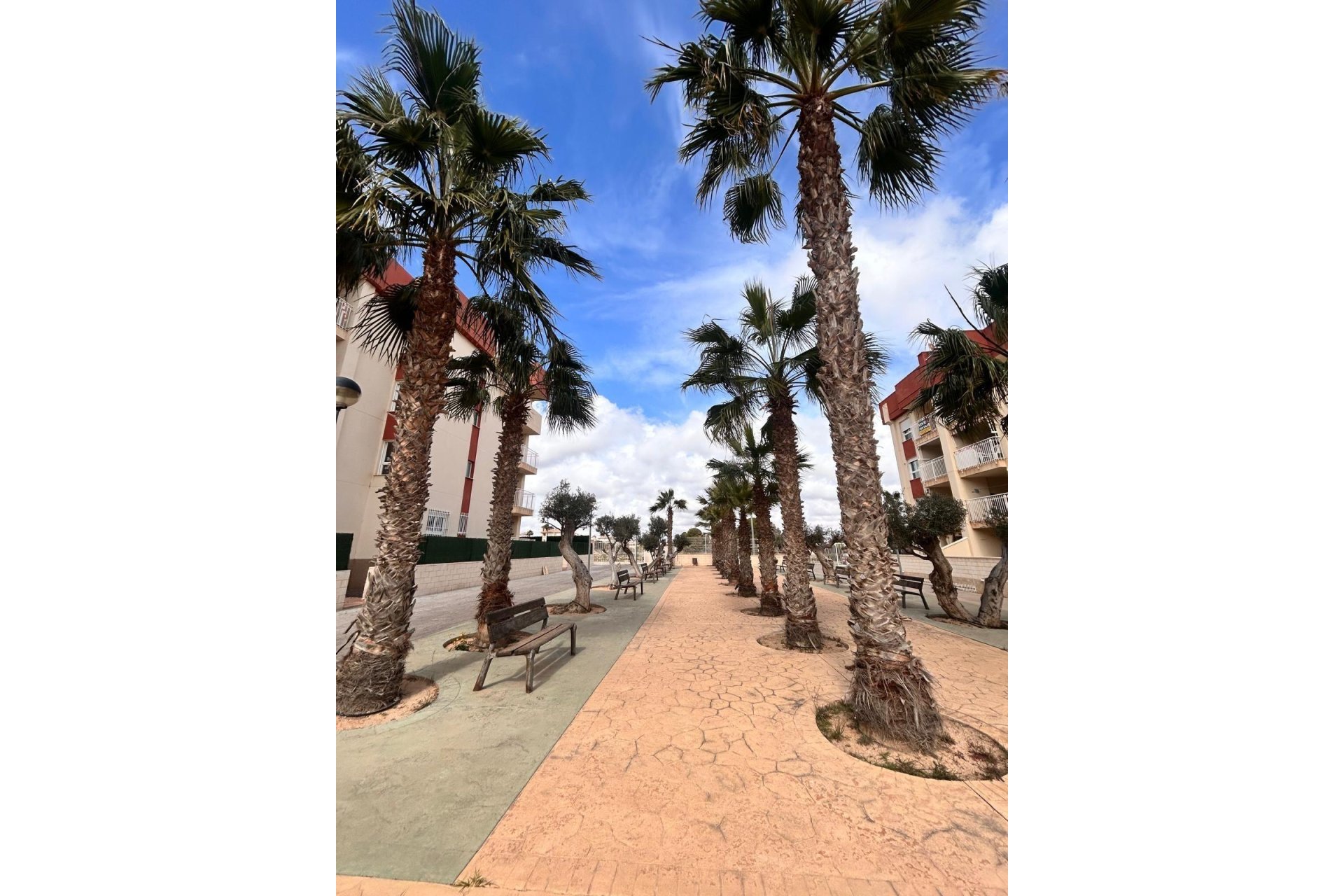 Nieuwbouw - Apartment - Orihuela Costa - Lomas de Cabo Roig