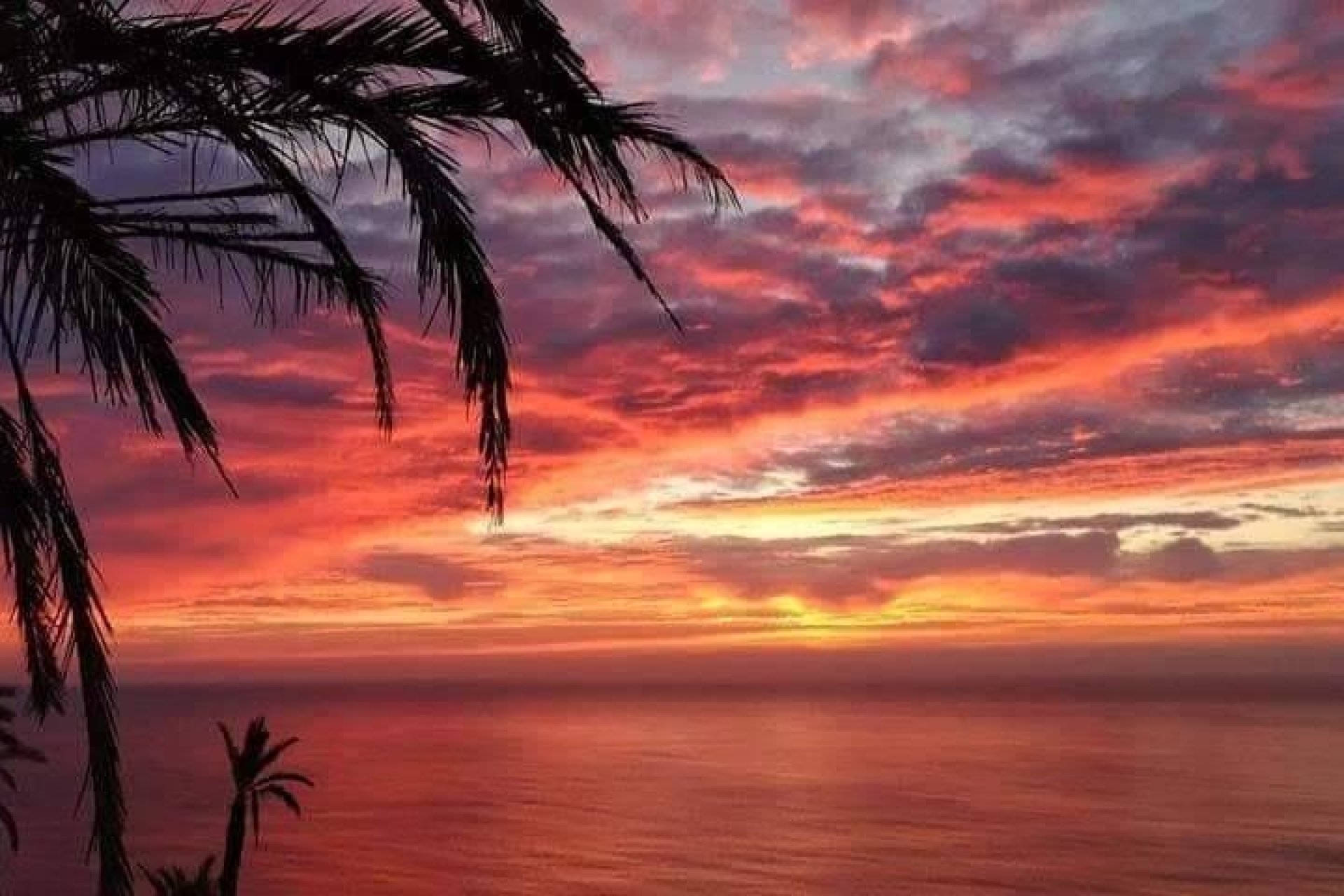 Nieuwbouw - Chalet - Torrevieja - Altos del Sol