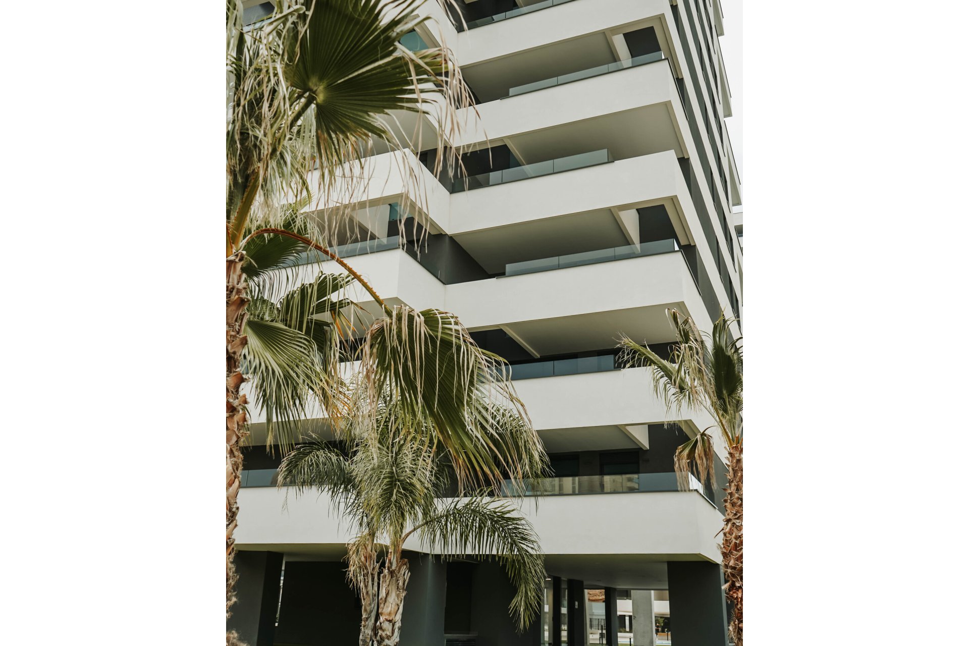 Nieuwbouw - Penthouse  - Alicante - Calpe