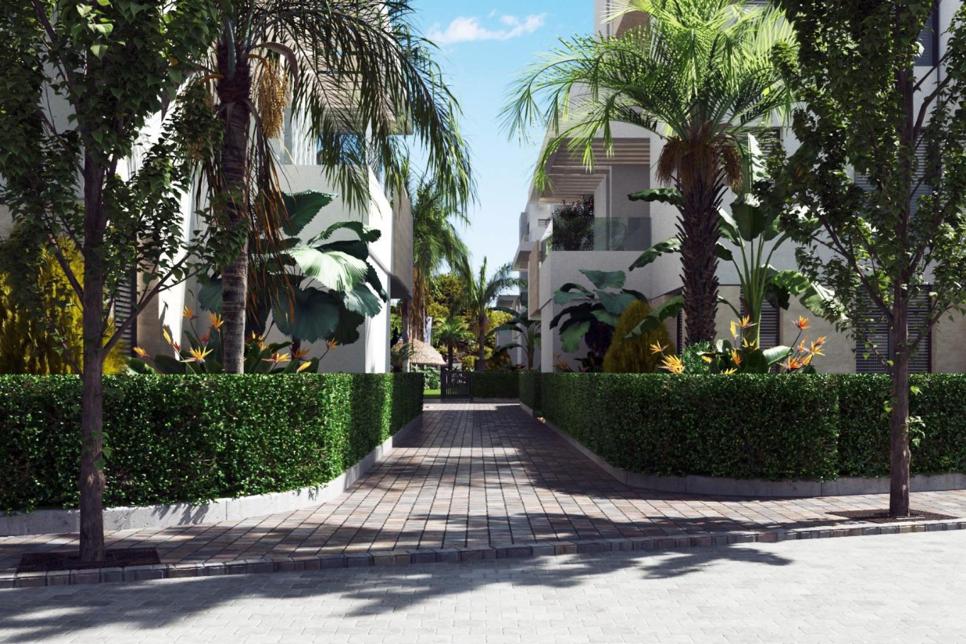 Nieuwbouw - Penthouse Penthouse - Santa Rosalía