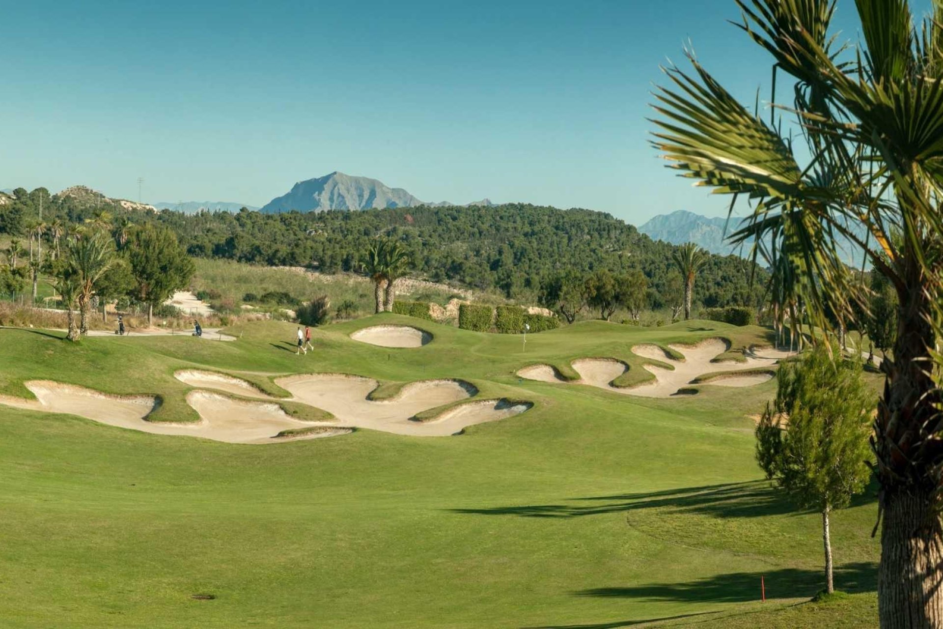 Nieuwbouw - Town House - Orihuela - Vistabella Golf