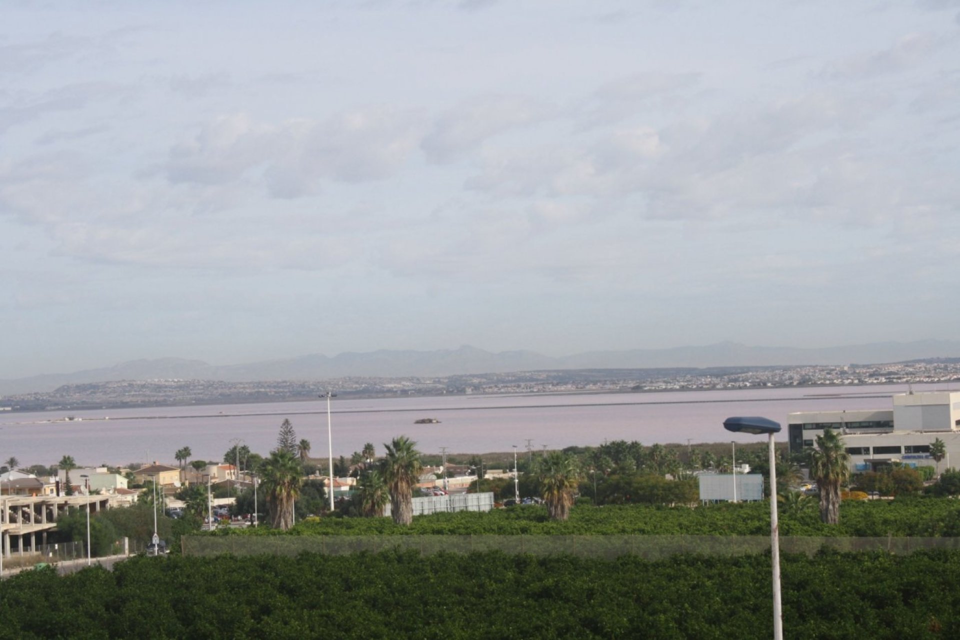Nieuwbouw - Town House - Torrevieja - Los Altos