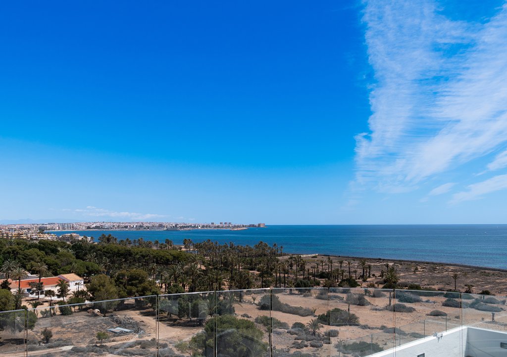Obra nueva - Apartment - ﻿Torrevieja (Alicante) - Spain
