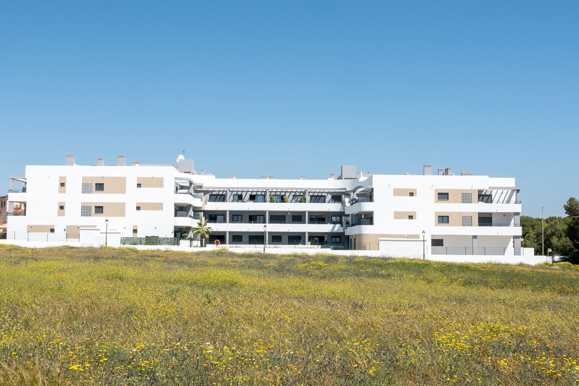 Obra nueva - Apartment - Torre de la Horadada (Alicante) - Spain