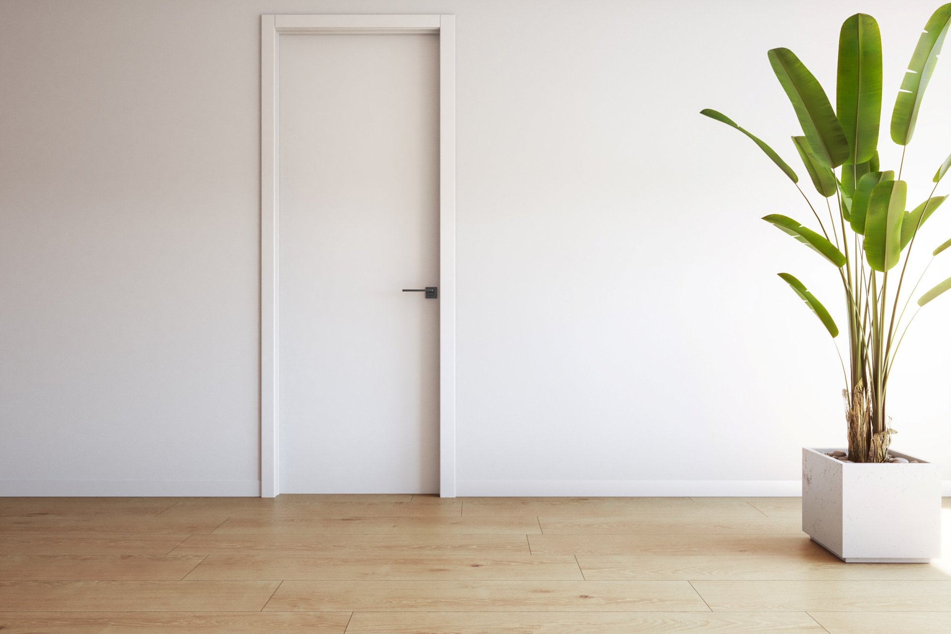Obra nueva - Apartment - Torrevieja