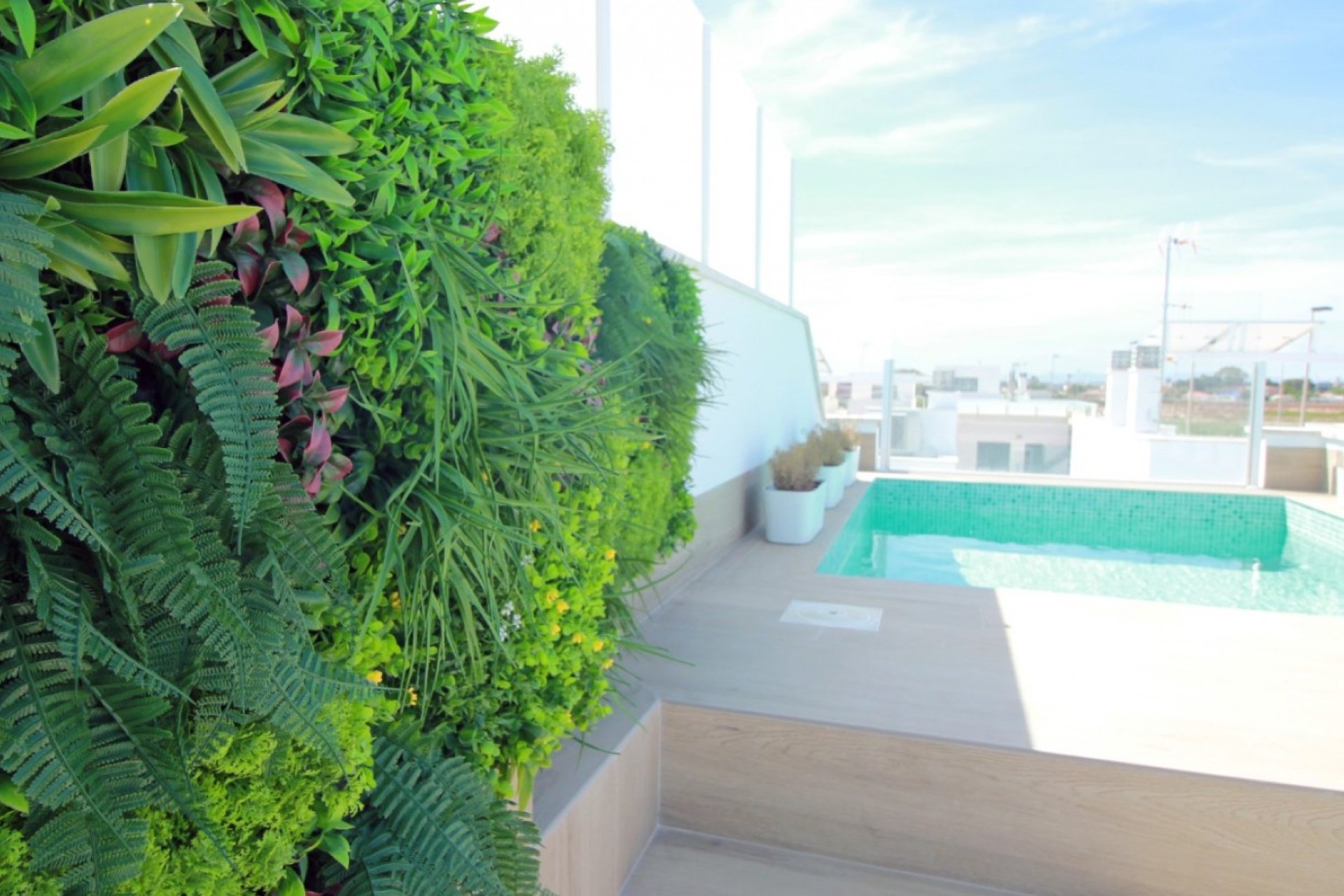 Obra nueva - Chalet - Pilar de la Horadada - Torre de la Horadada