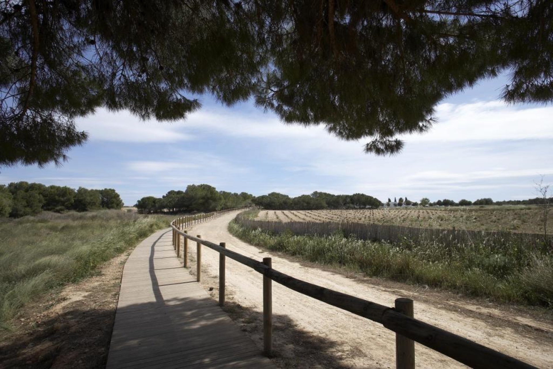 Obra nueva - Chalet - Torrevieja - Altos del Sol