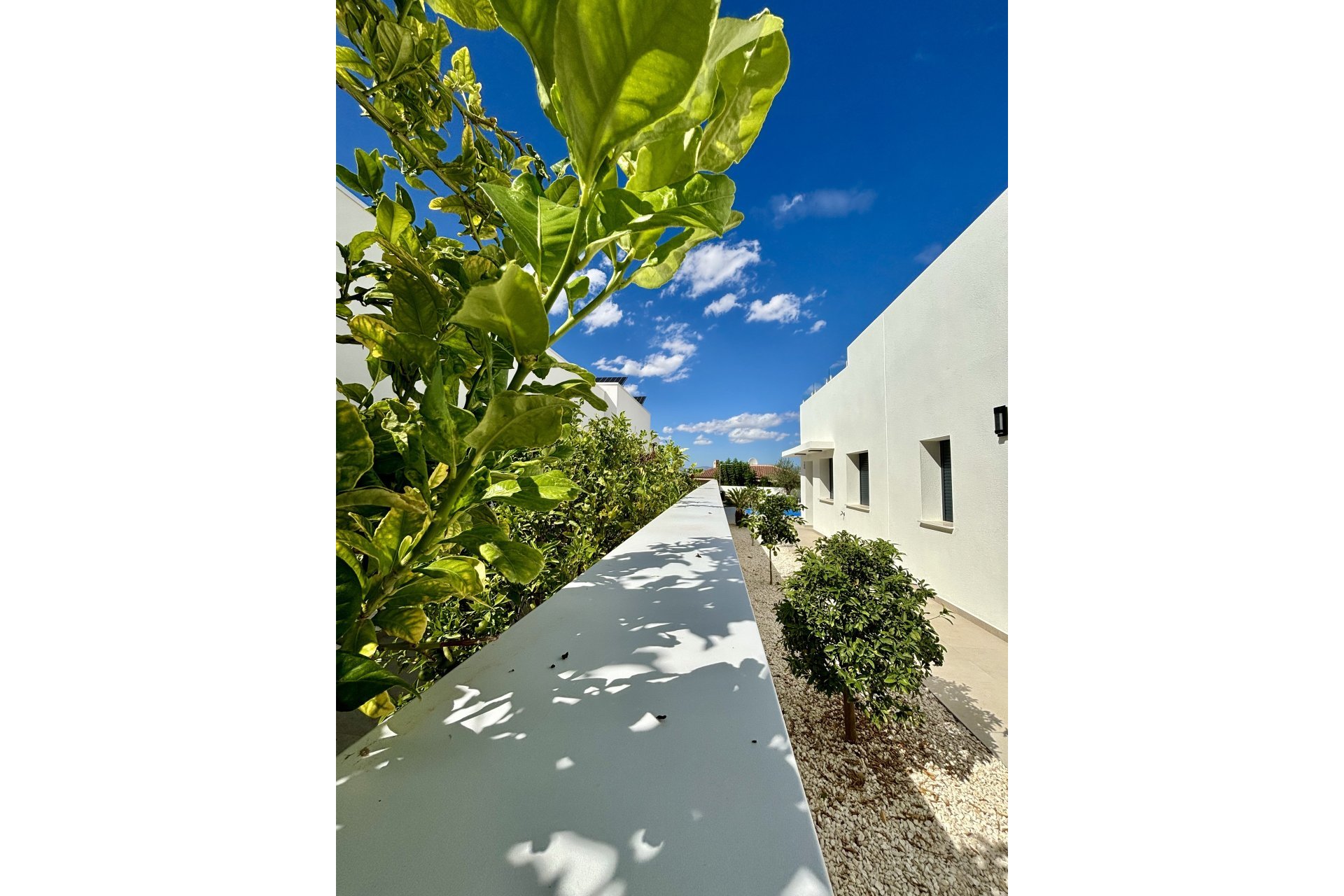 Obra nueva - Detached House / Villa - Benijofar