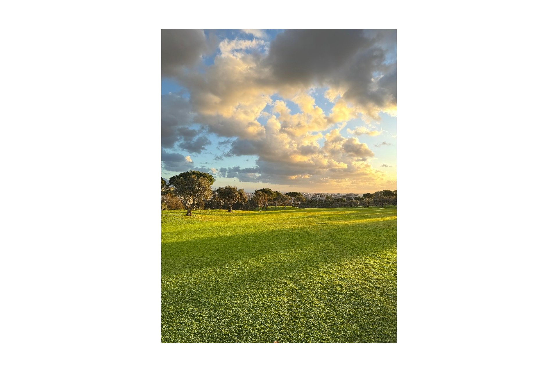 Obra nueva - ground-floor - Las Lagunas de Mijas