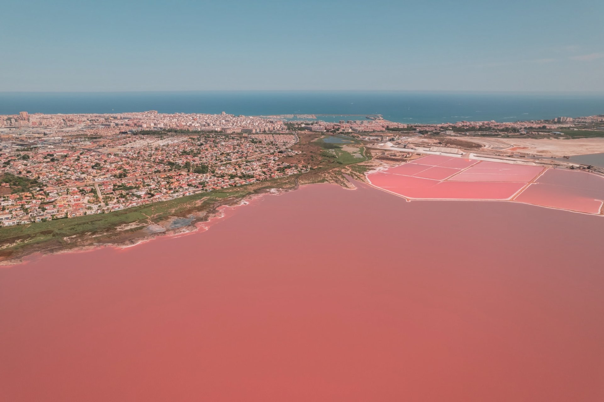 Obra nueva - high-bungalow - Torrevieja