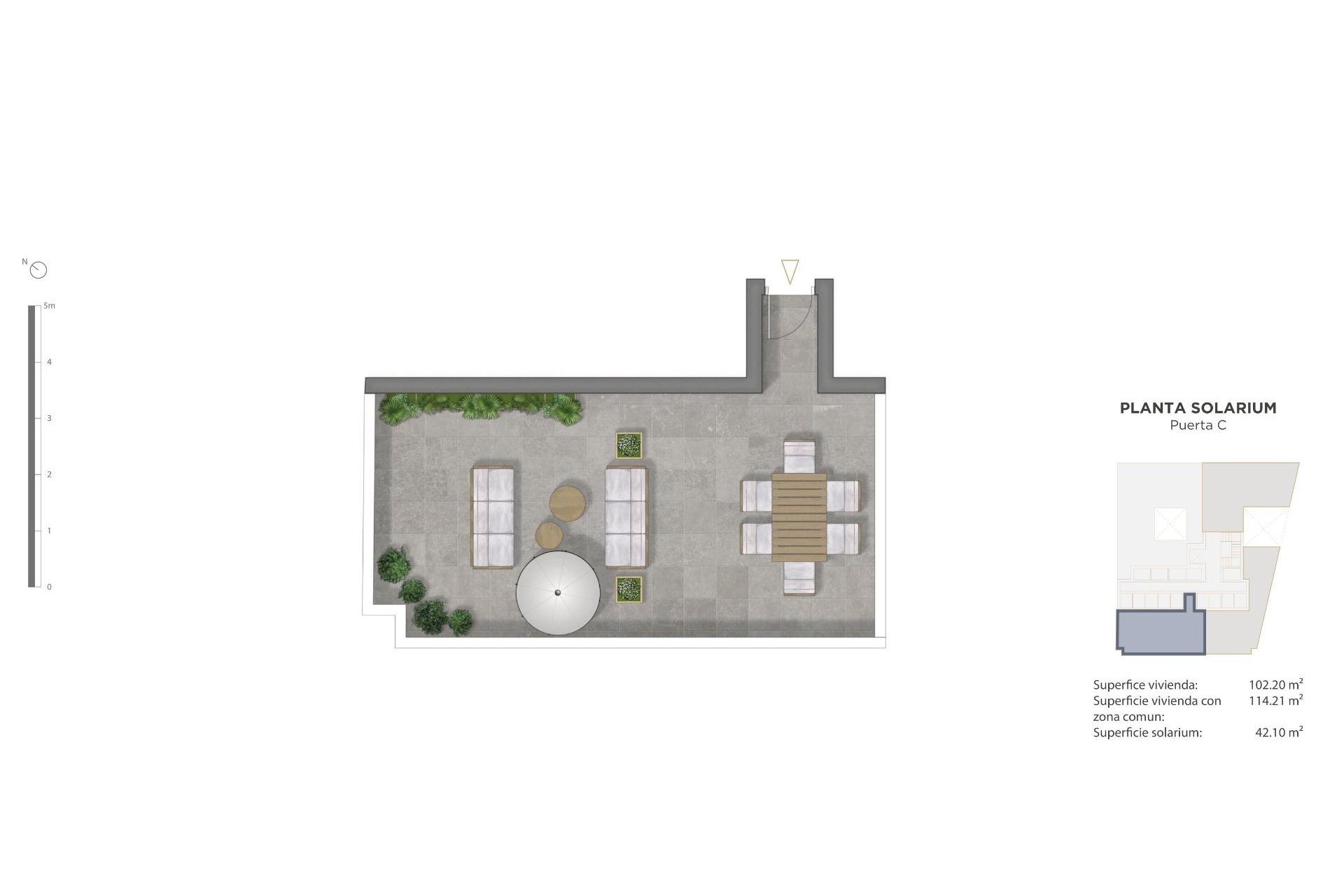 Obra nueva - Penthouse  - Guardamar del Segura - Pueblo