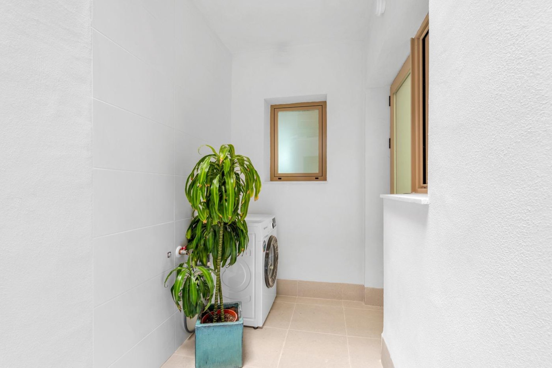 Obra nueva - Penthouse  - Jacarilla - pueblo
