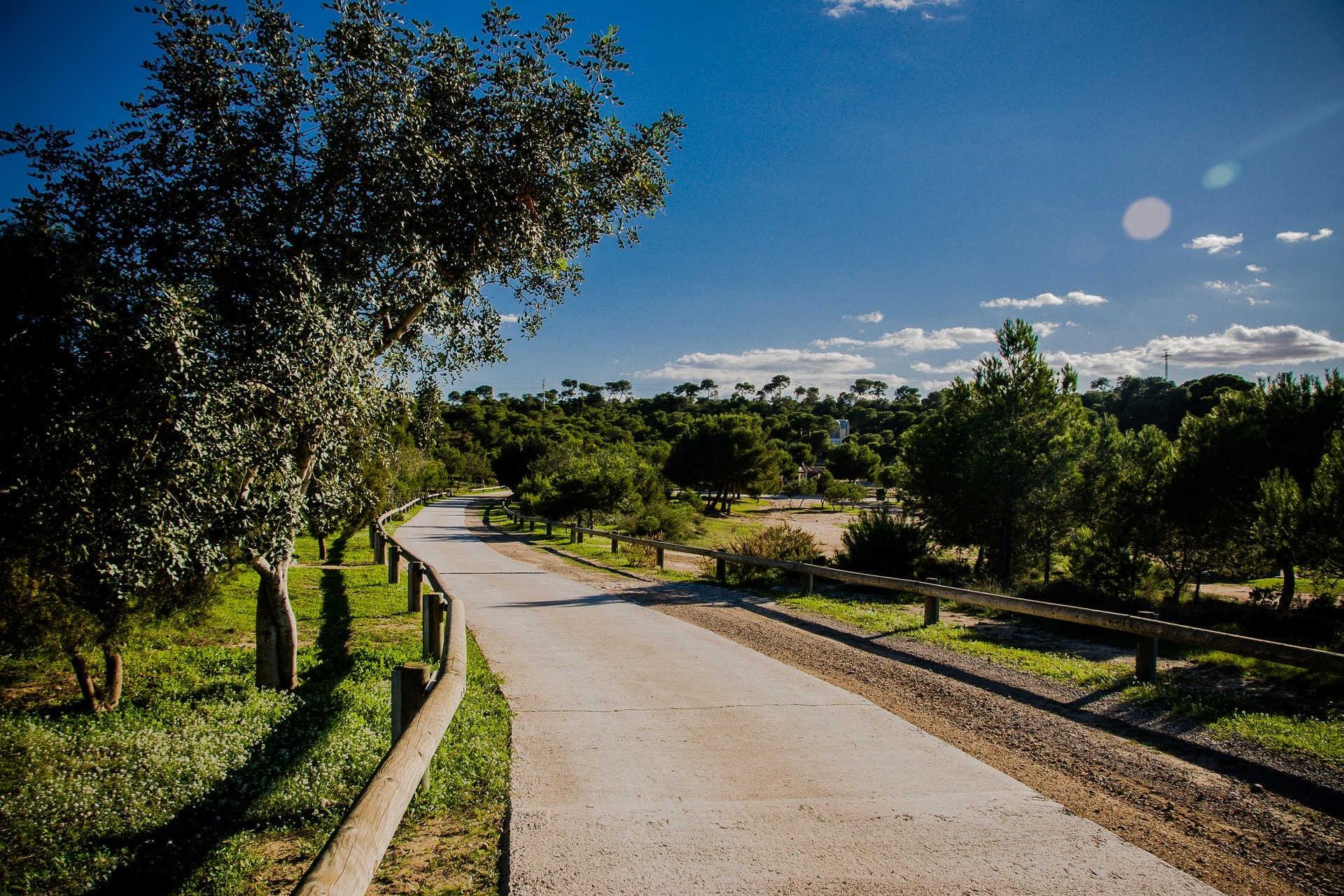 Obra nueva - Villa - Ciudad Quesada - Rojales - DOÑA PEPA