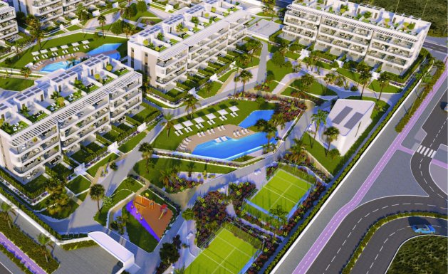 Penthouse  - Nieuwbouw - Torrevieja - Torrevieja