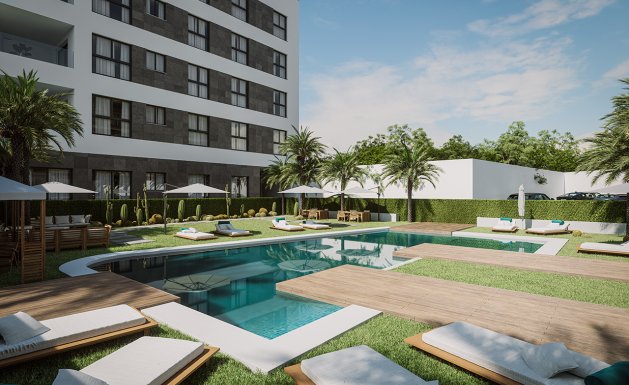 Penthouse  - Obra nueva - Guardamar del Segura - Guardamar del Segura