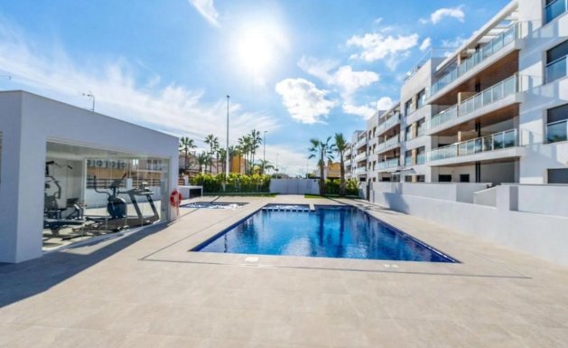 Penthouse  - Obra nueva - Torrevieja - Torrevieja