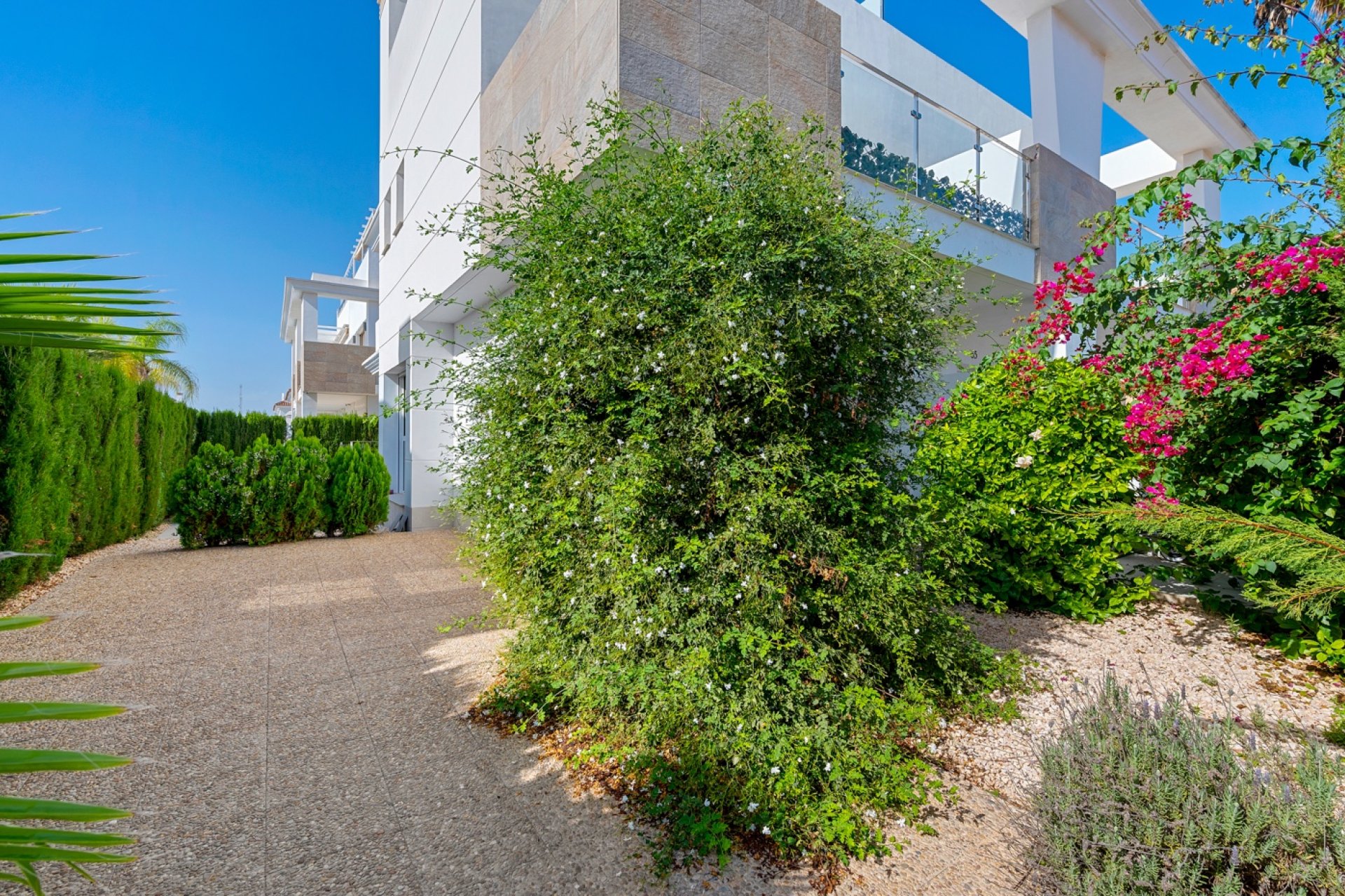 Resale - Adosado - Ciudad Quesada - DOÑA PEPA