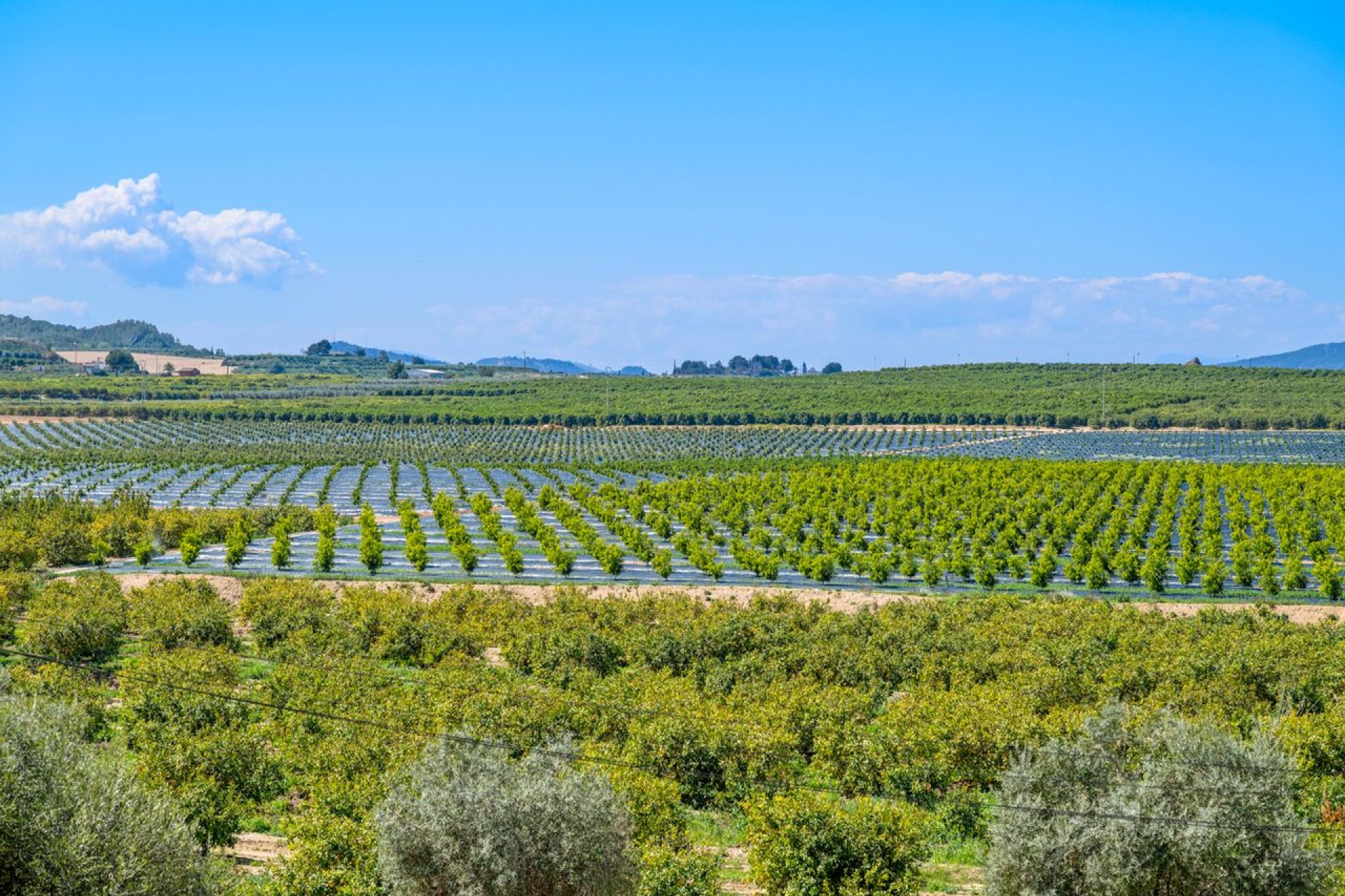 Resale - Apartment - Algorfa - Fontana