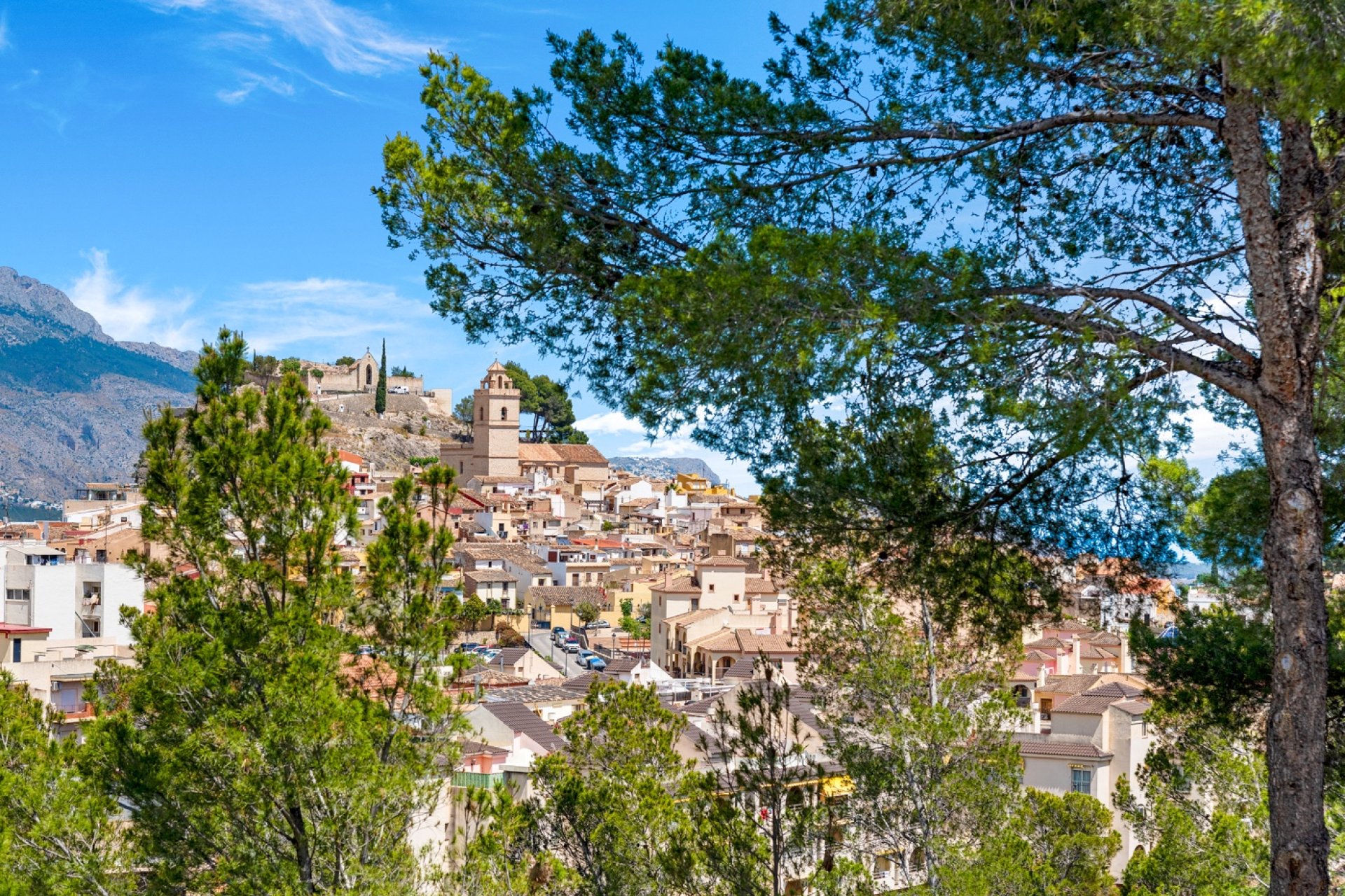 Resale - Apartment - Alicante - La Nucía