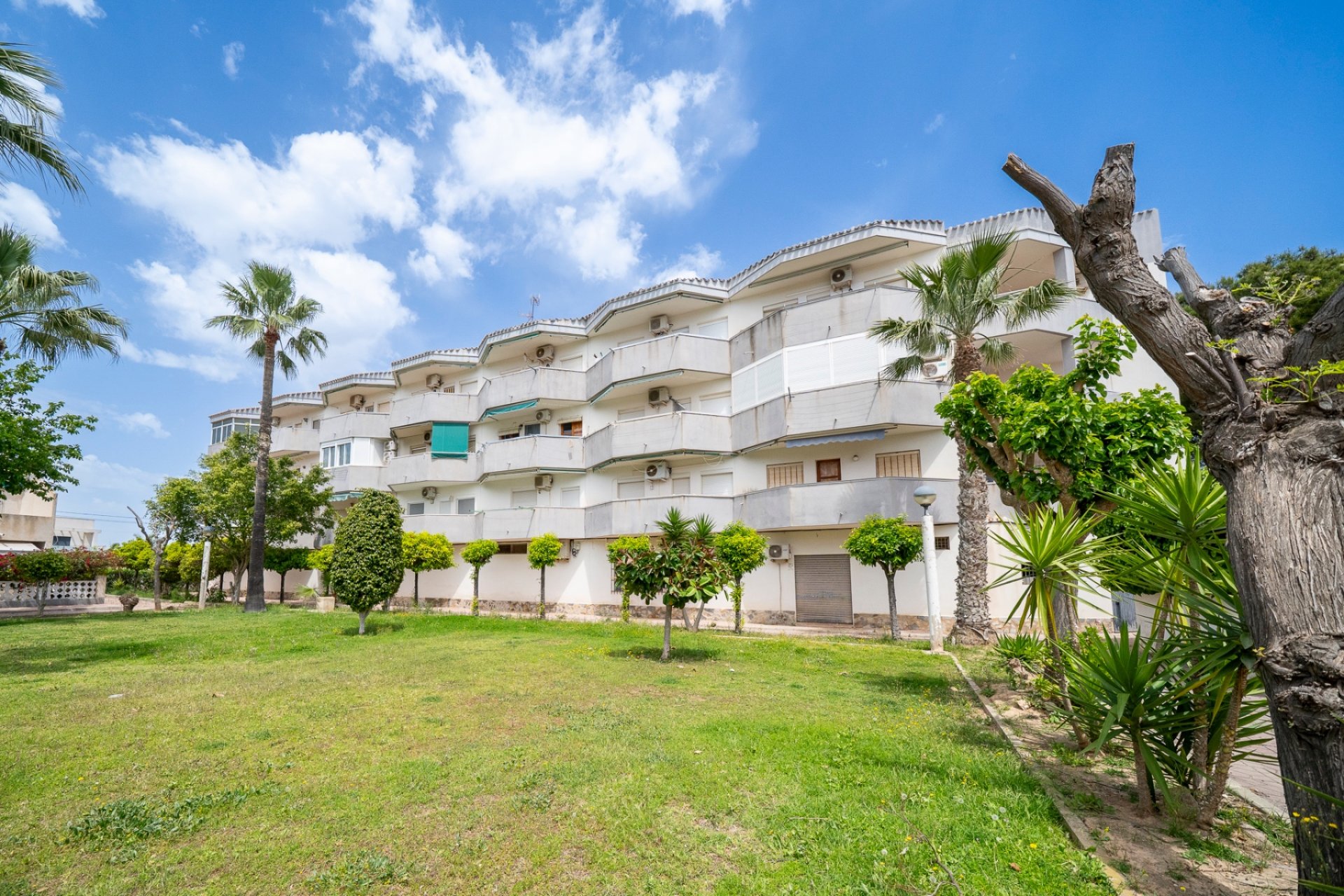 Resale - Apartment - Orihuela Costa - Cabo Roig