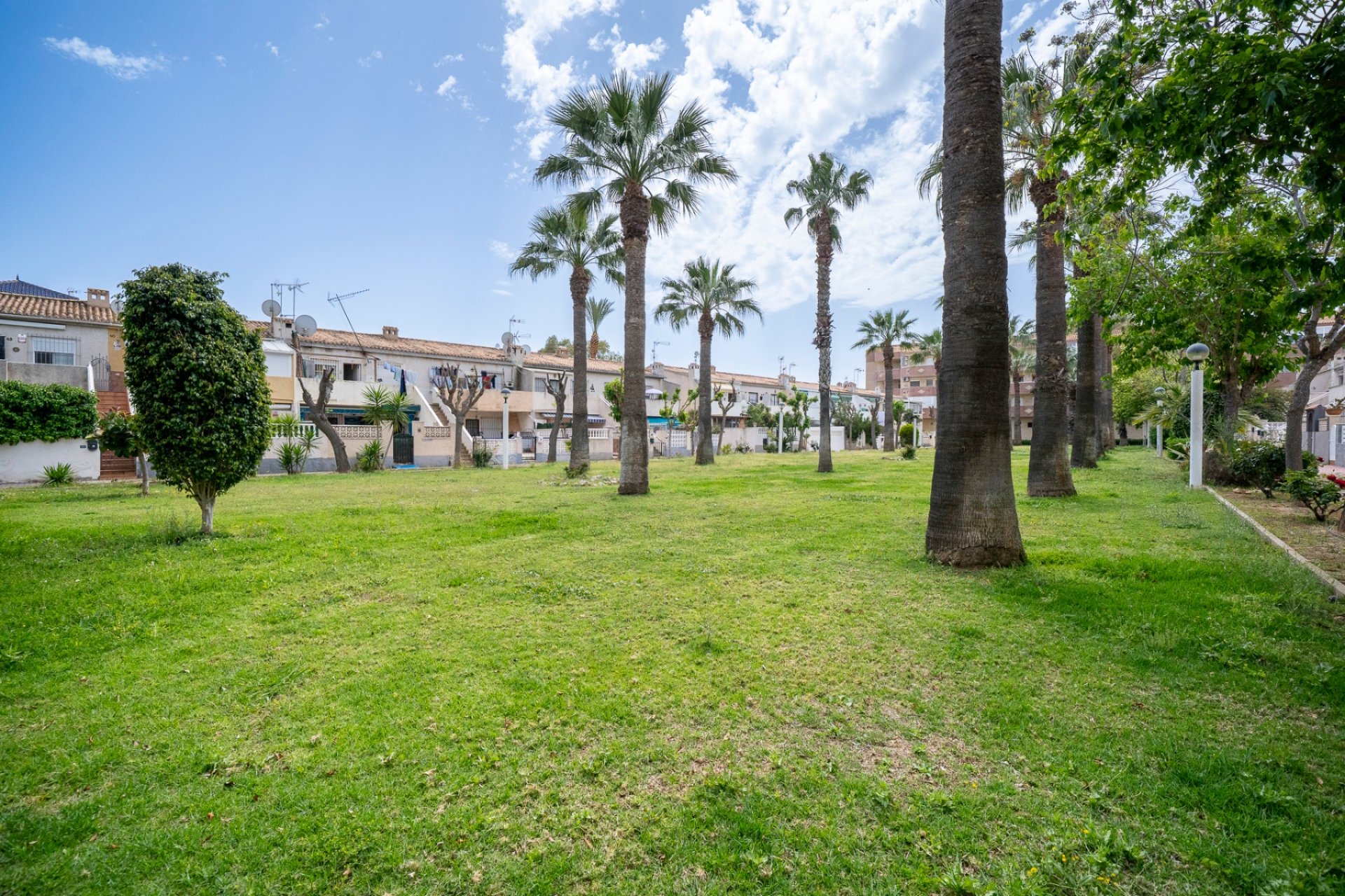 Resale - Apartment - Orihuela Costa - Cabo Roig