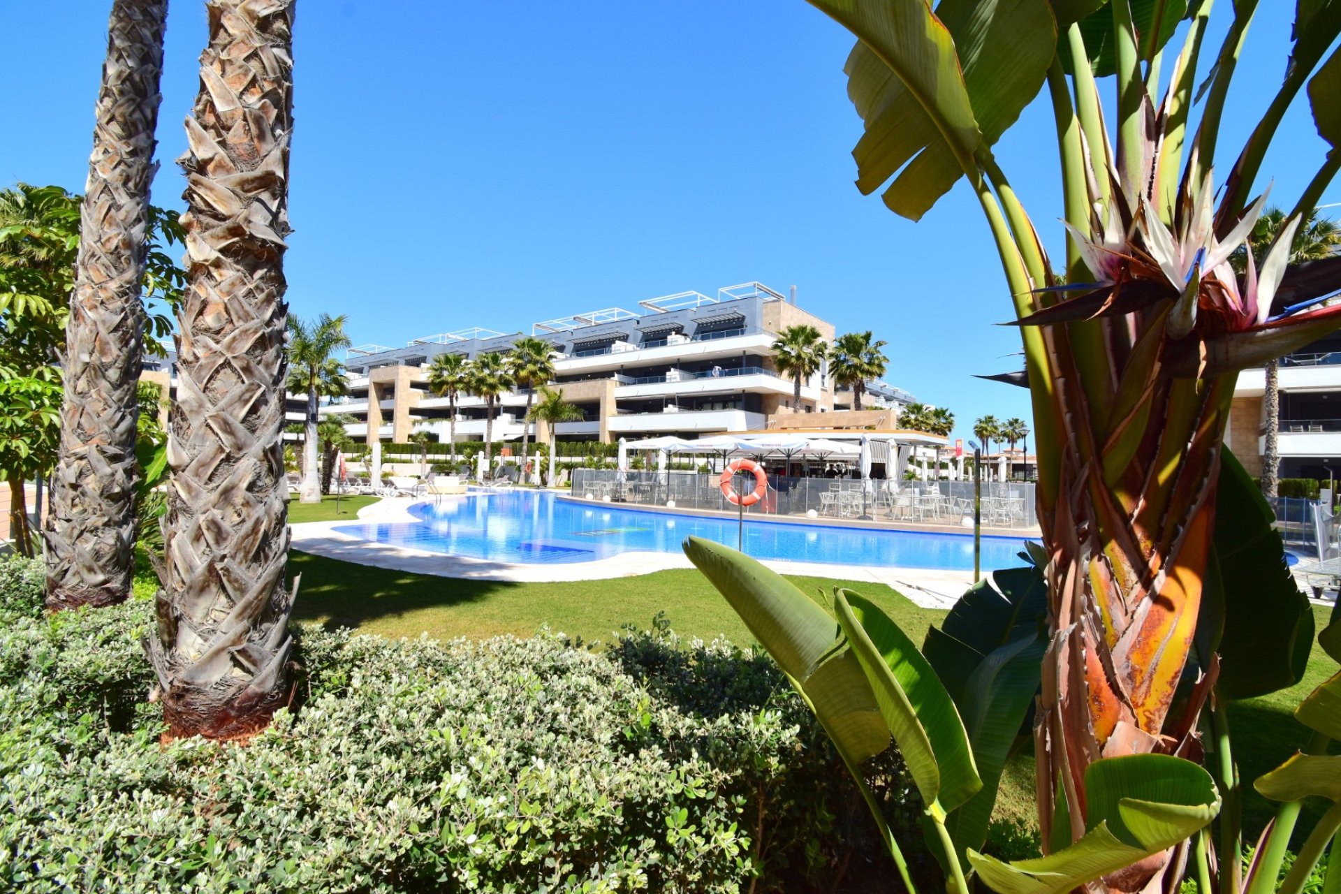 Resale - Apartment - Orihuela Costa - Playa Flamenca